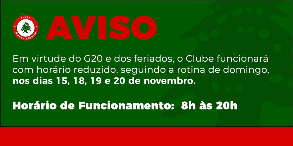 Funcionamento G20